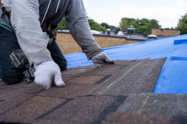 Best Storm Damage Roof Repair  in Union City, OH