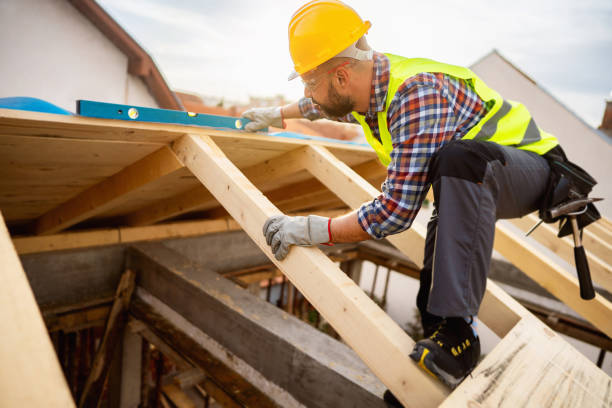 Best Roof Gutter Cleaning  in Union City, OH